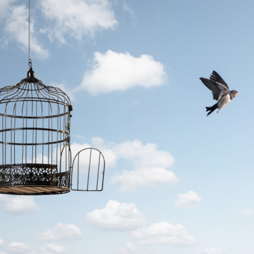 Coaching profond de l'être