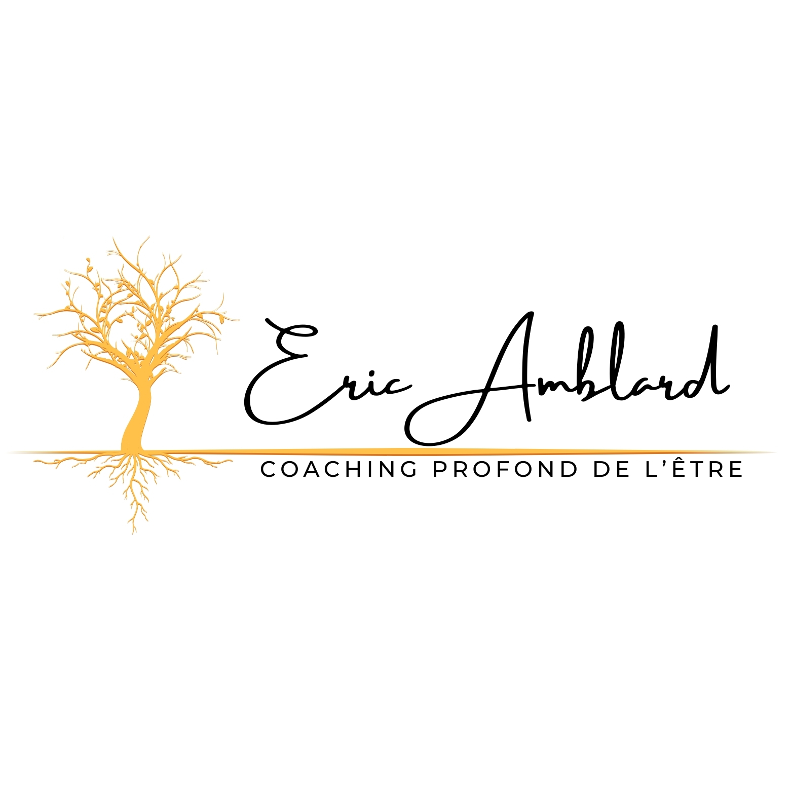 Logo Horizontal Eric Amblard JPEG